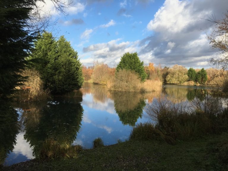 IMG_8042 Water Lily Lakes